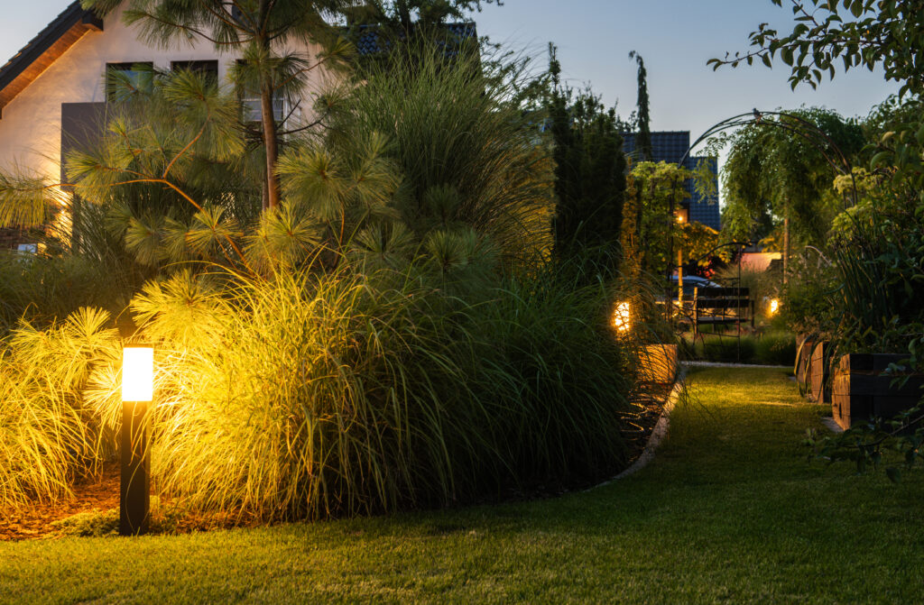 Elegant Illuminated Backyard Garden