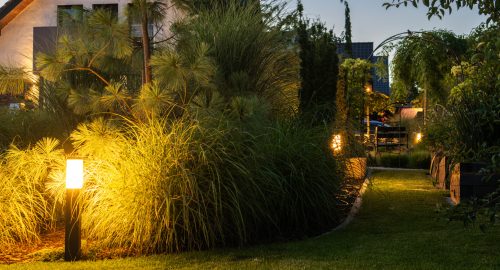 Elegant Illuminated Backyard Garden
