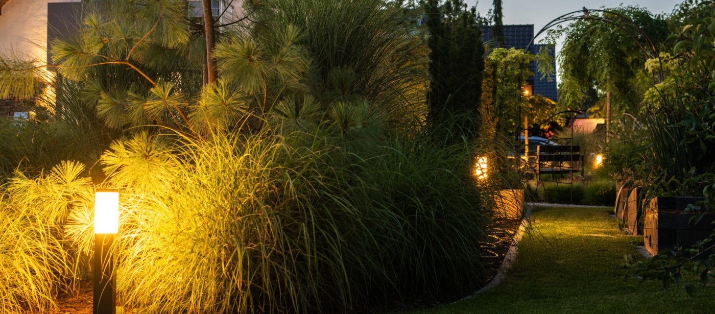 Elegant Illuminated Backyard Garden