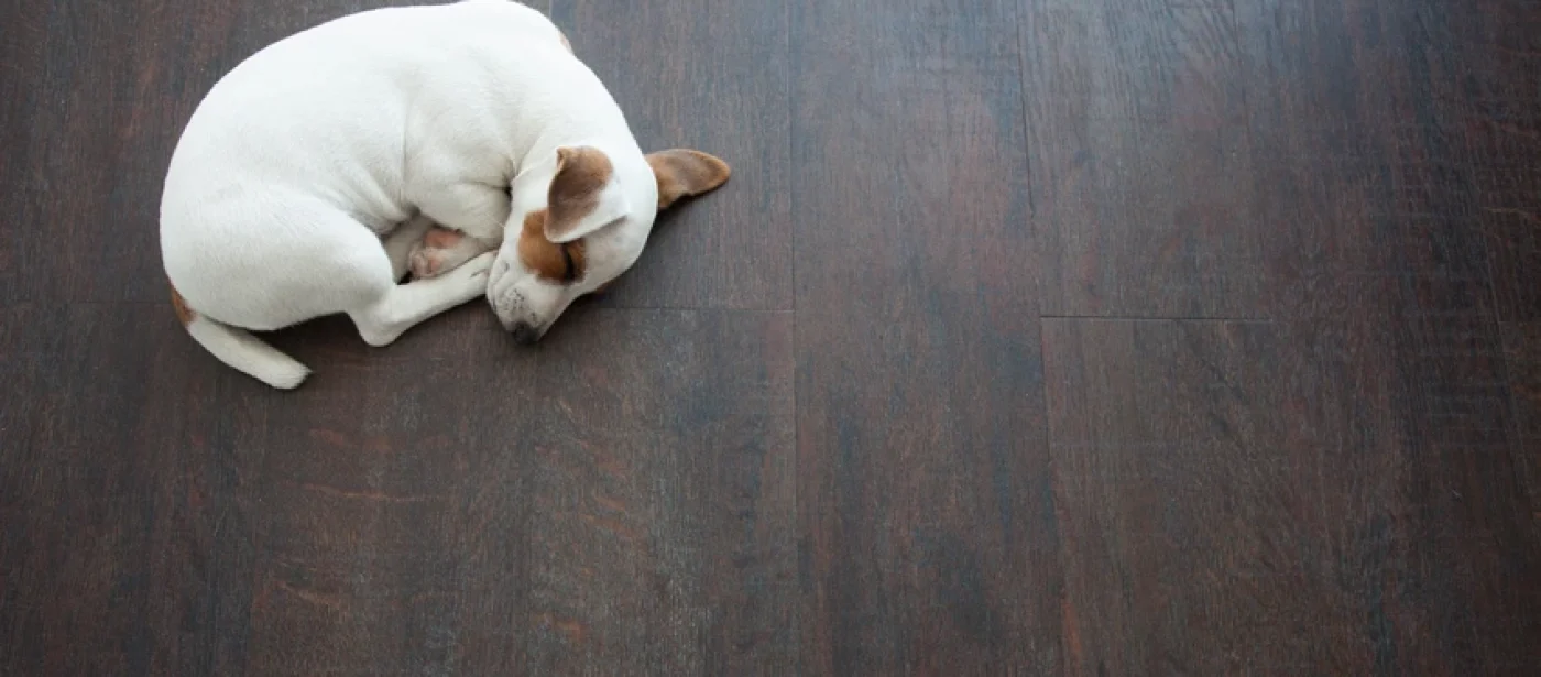 Pros and Cons of In-Floor Heating